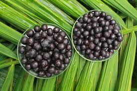  açaí - naidí