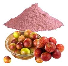  Extracto de Camu Camu