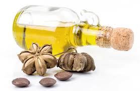Aceite de Sacha Inchi