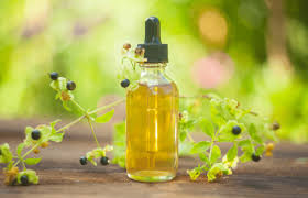 Belladona - Atropa belladonna