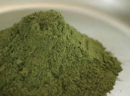 Chaliponga - Diplopterys cabrerana