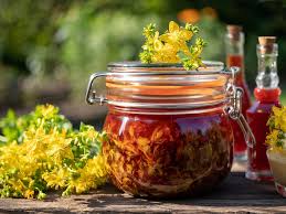 Hierba de San Juan - Hypericum perforatum