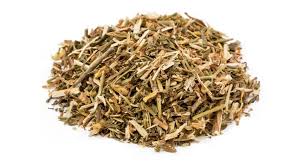 Hierba de San Juan - Hypericum perforatum