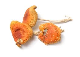 Matamoscas, Hongo de los espíritus - Amanita muscaria