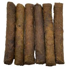 Mapacho, Tabaco rústico, tabaco de monte - Nicotiana rustica