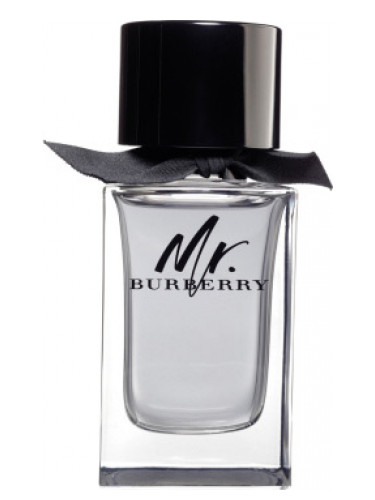 Inspired By Mr. Burberry by Burberry