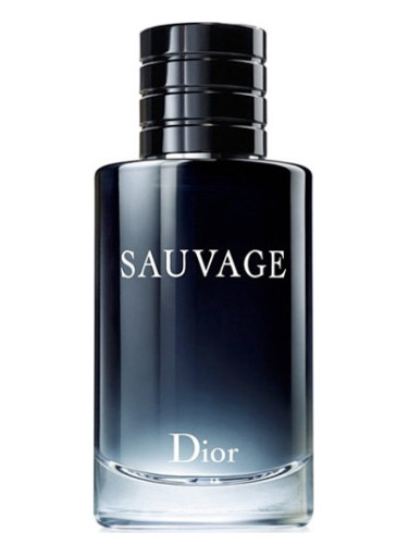Inspired By Sauvage by Dior