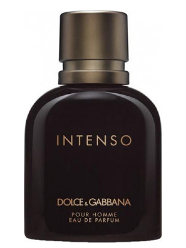 Inspired By Dolce&Gabbana Pour Homme Intenso