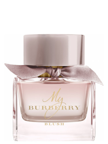 Inspired By My Burberry Blush