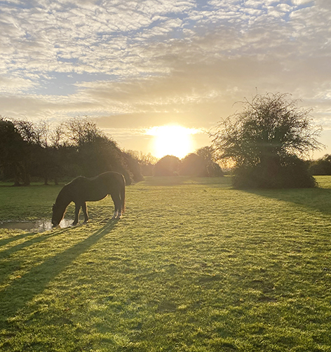 Portchester Calendar 2026