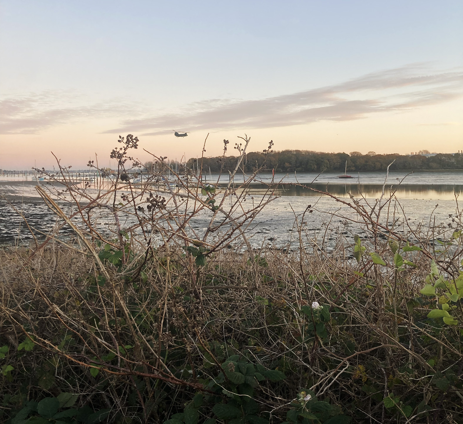 Winter Clear-Up Portchester