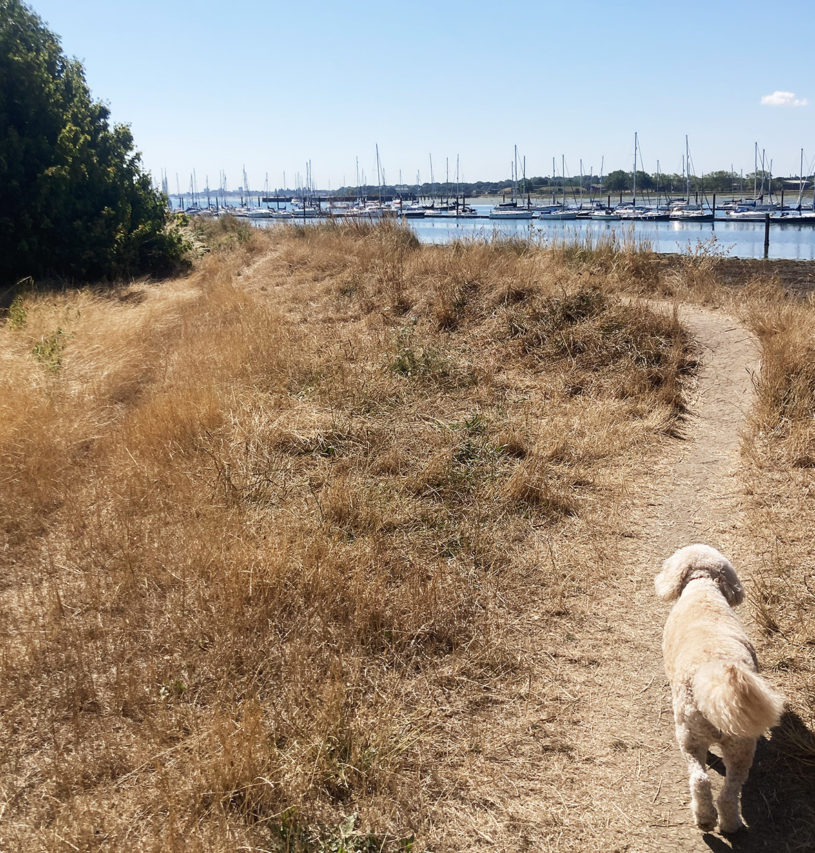 Winter Clear-Up Portchester