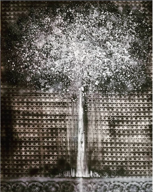 "Tree in Black and White"