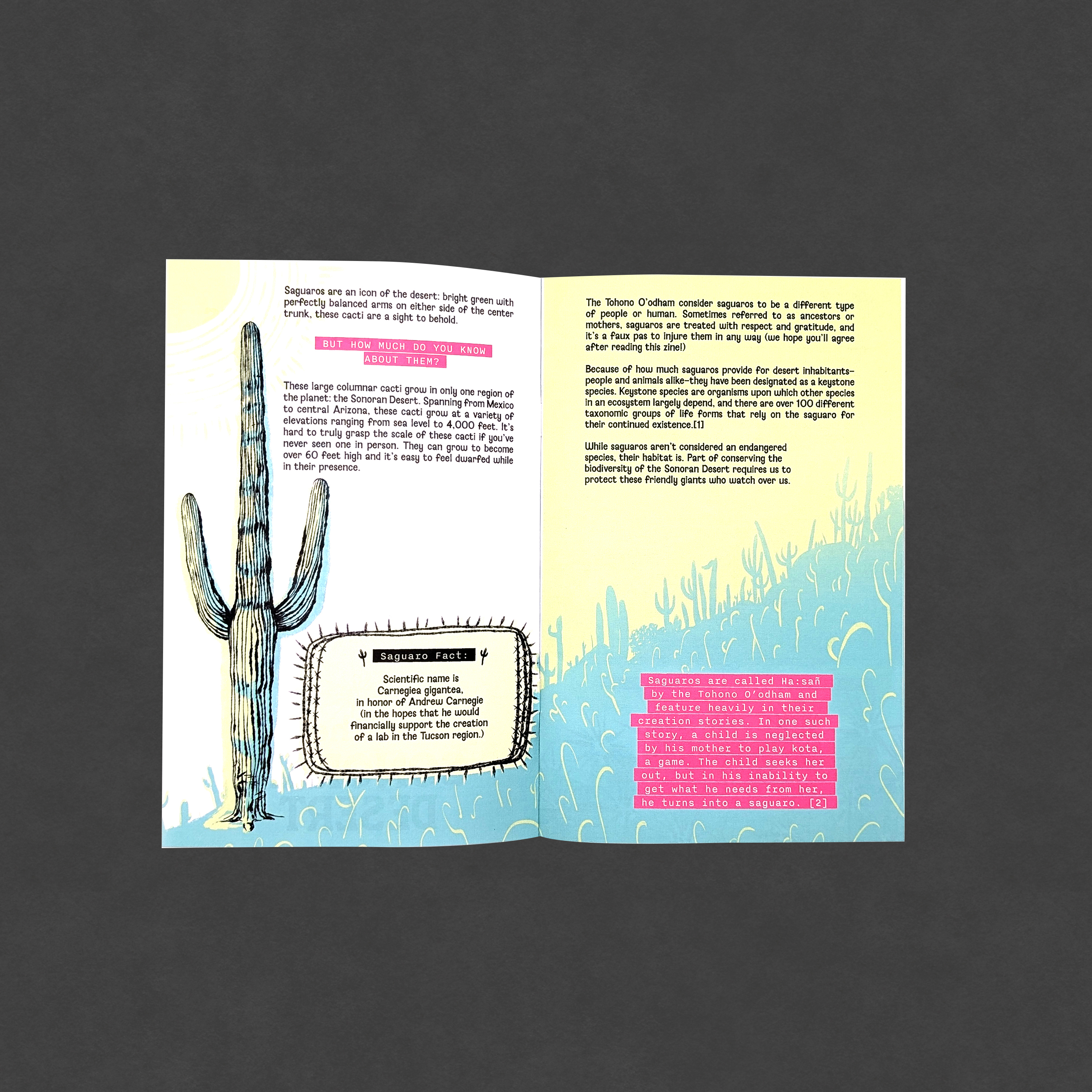 Stupendous Saguaros of the Sonoran Desert