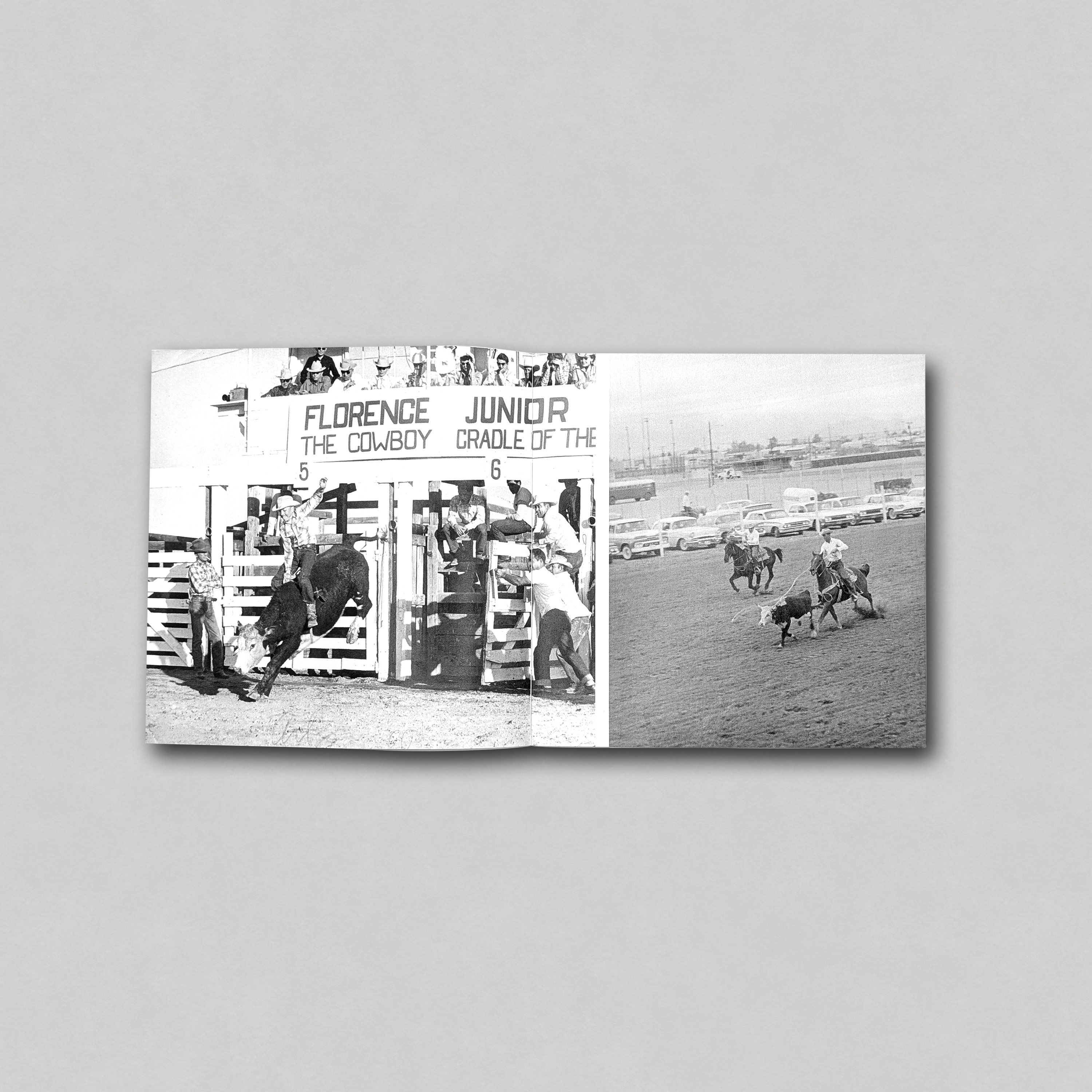 Rodeo - Images of the American West