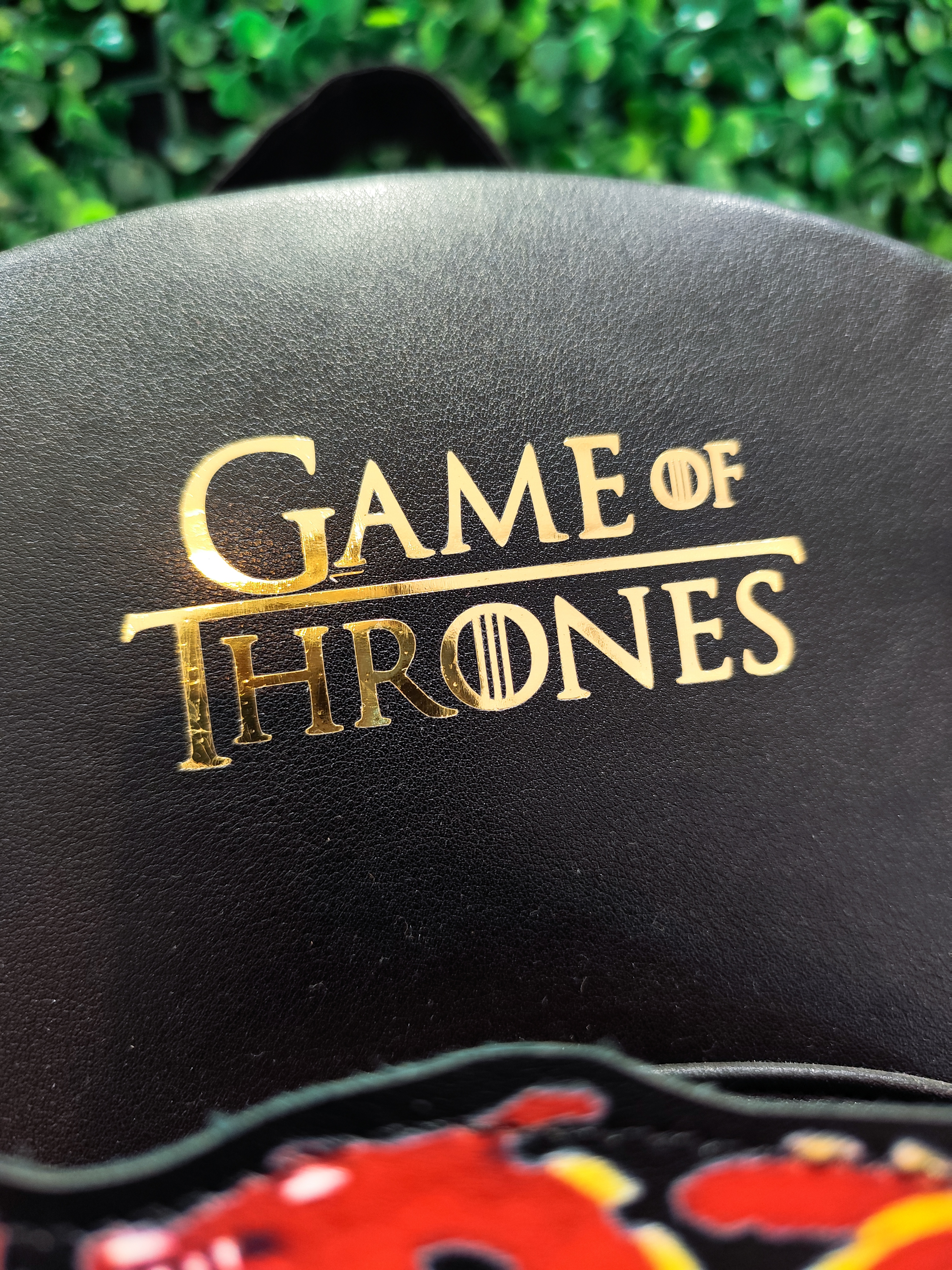 Mochila de la Casa Targaryen