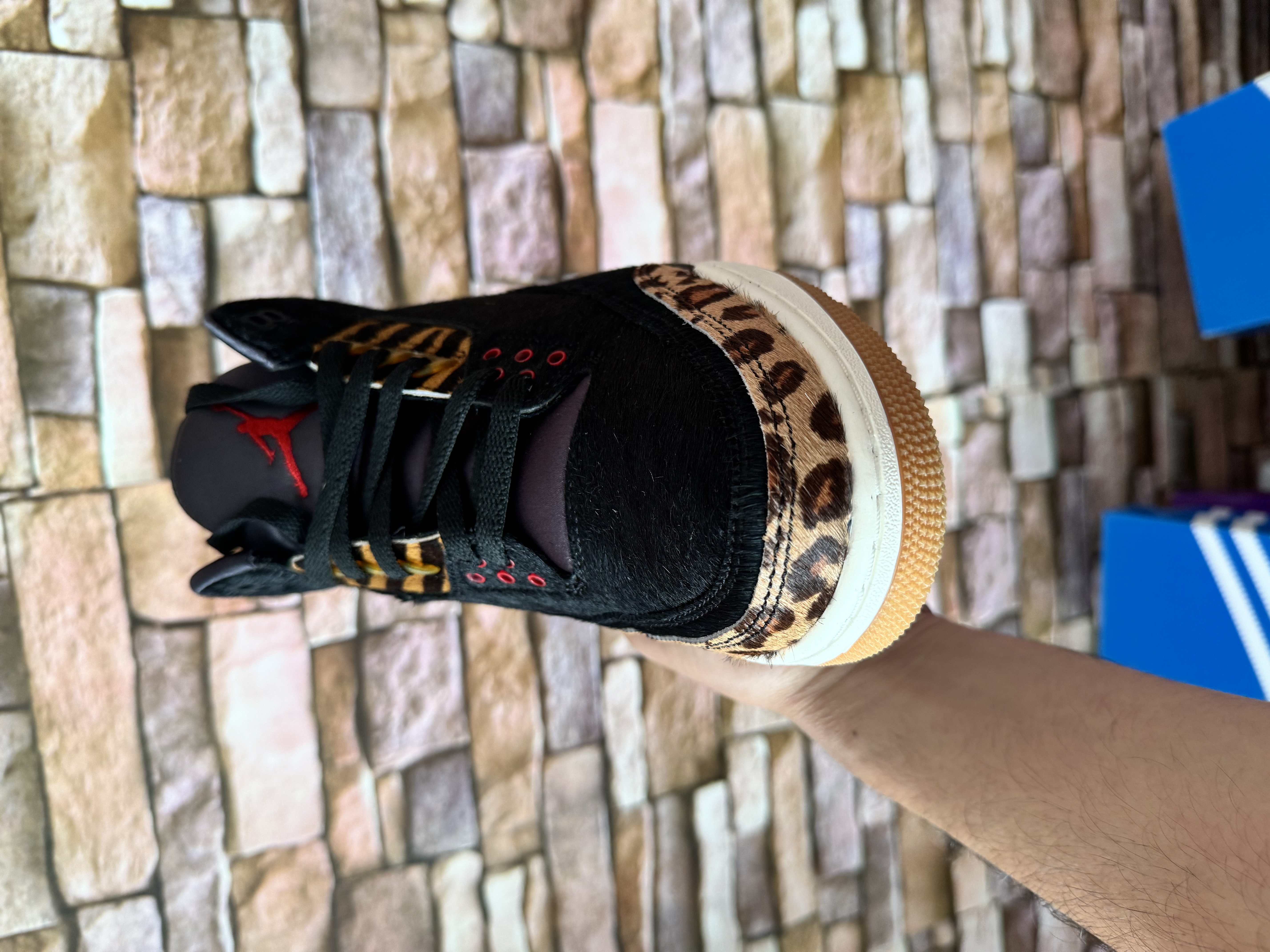 Air Jordan 3 Retro SE “Animal Instinct
