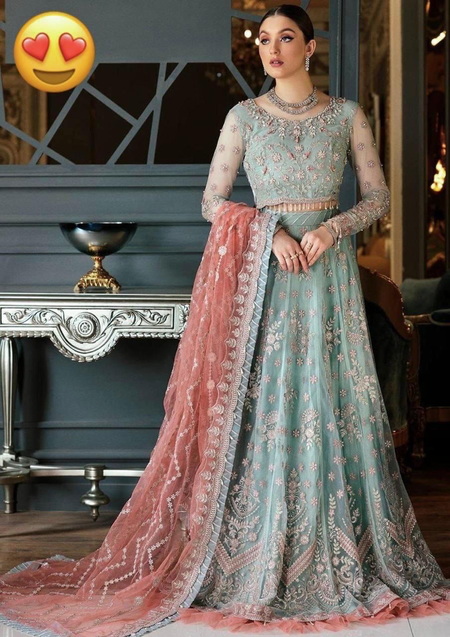 Net fully heavy  embroidered frock