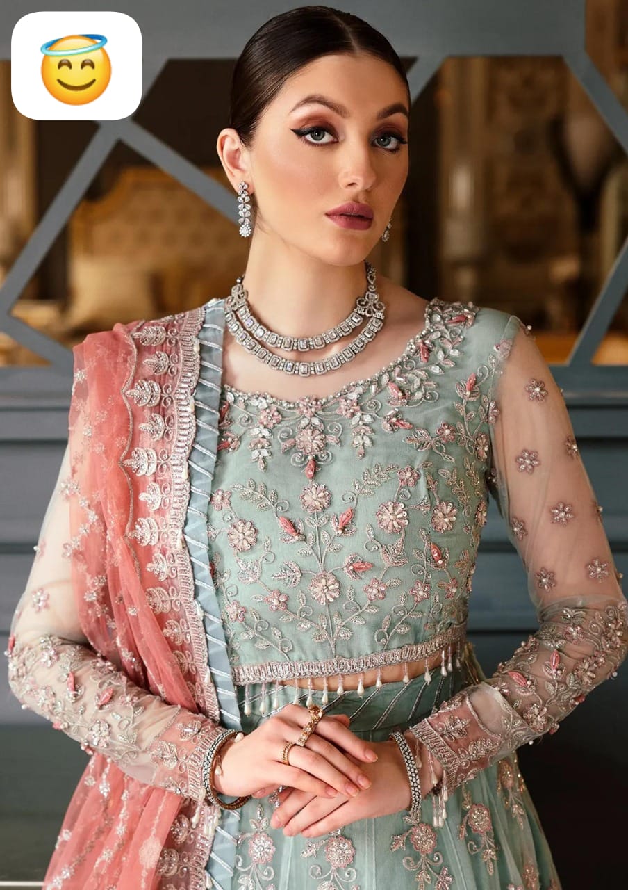 Net fully heavy  embroidered frock