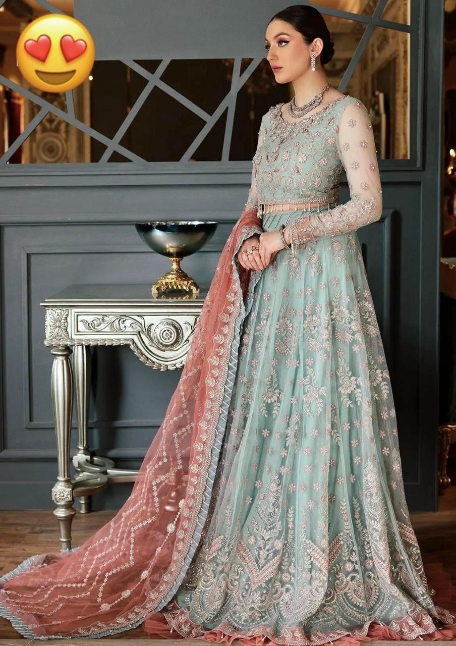 Net fully heavy  embroidered frock