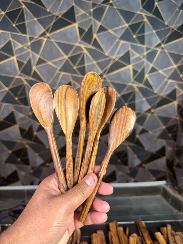 Daily Use Spoon Set