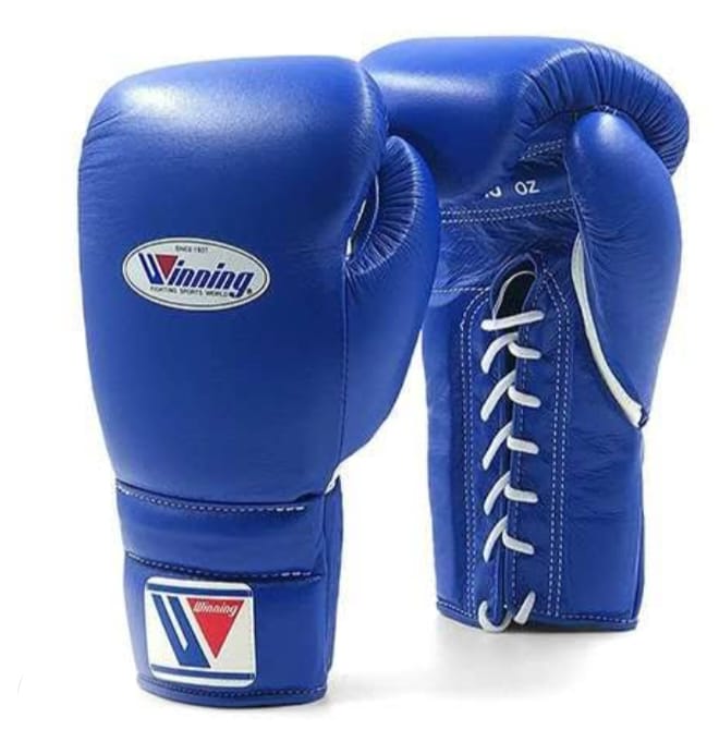 Winning boxing gloves