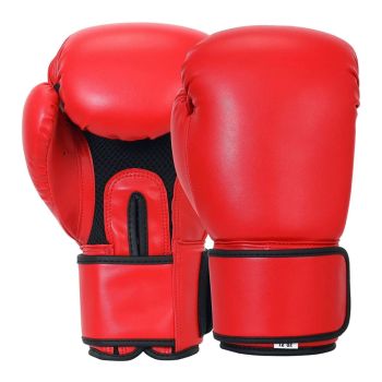 Winning boxing gloves