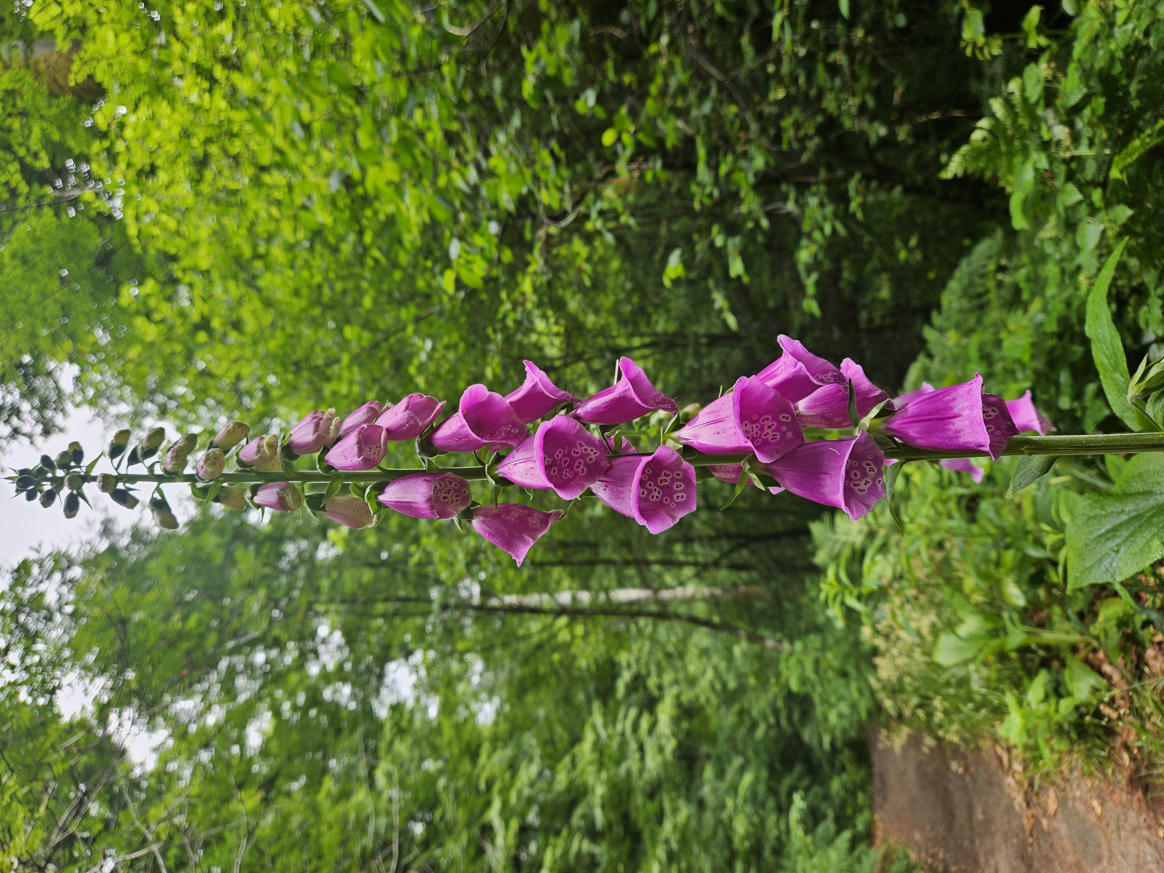 Basic Coaching: Clarity & Momentum