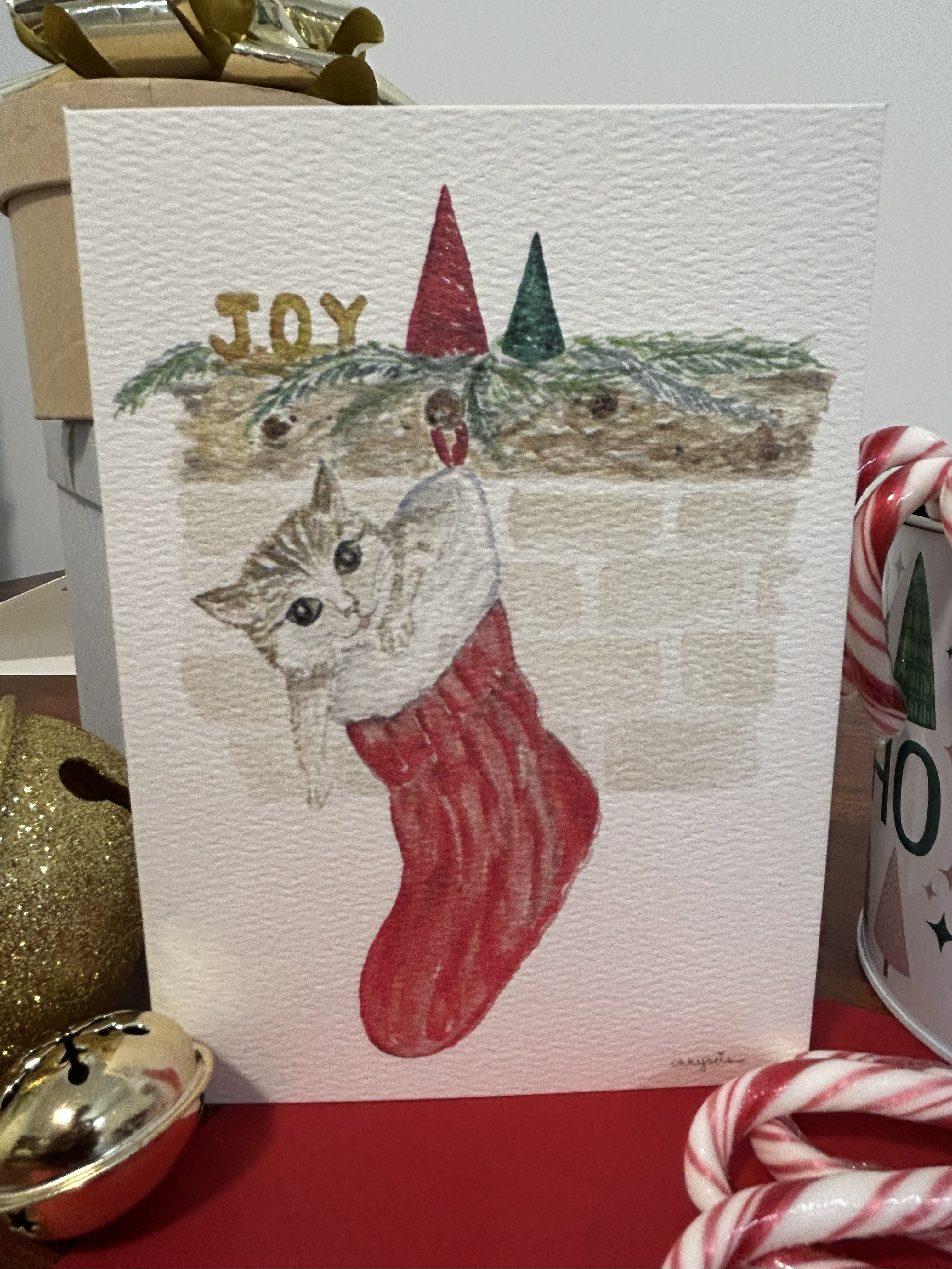 Cat in Christmas Stocking