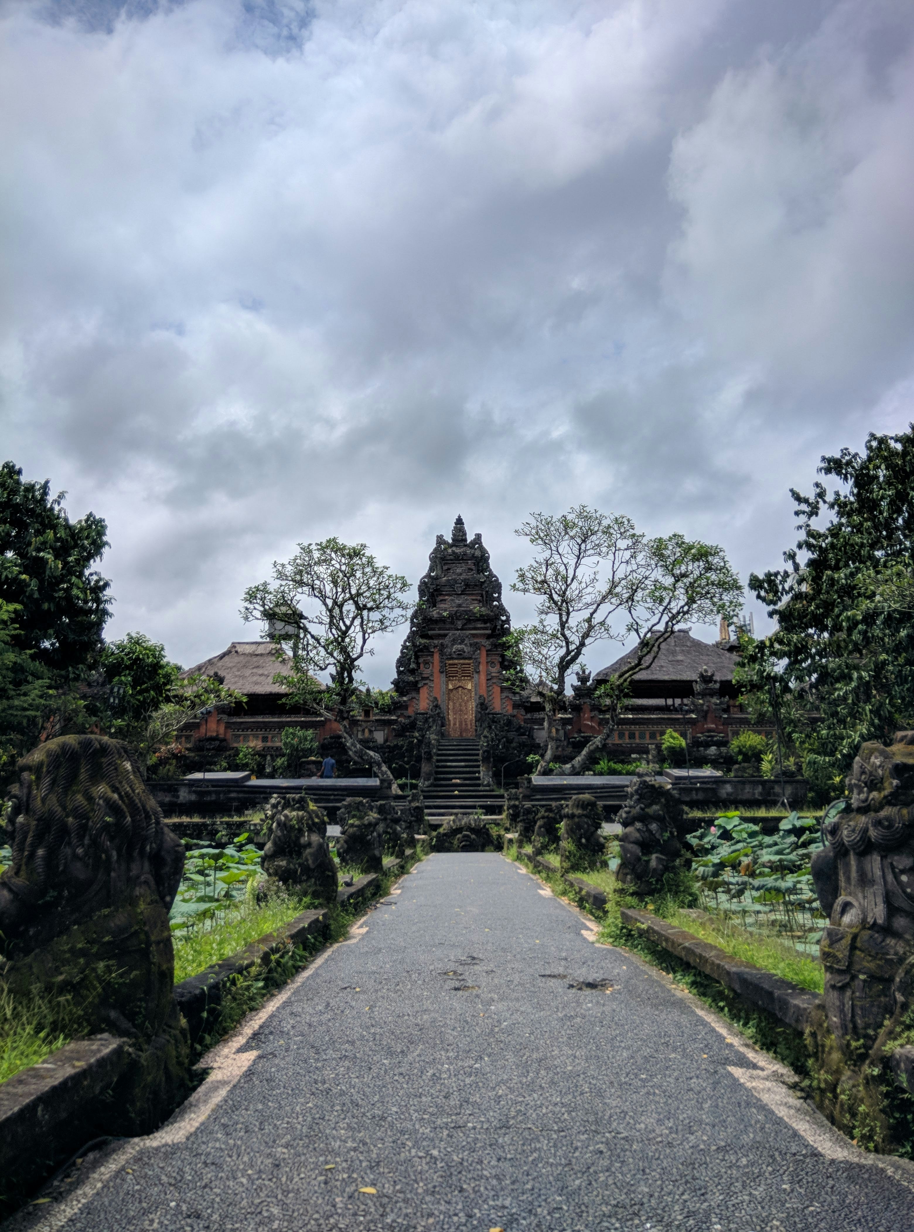 Bali: A Tale of Two Cities - Ubud & Kuta