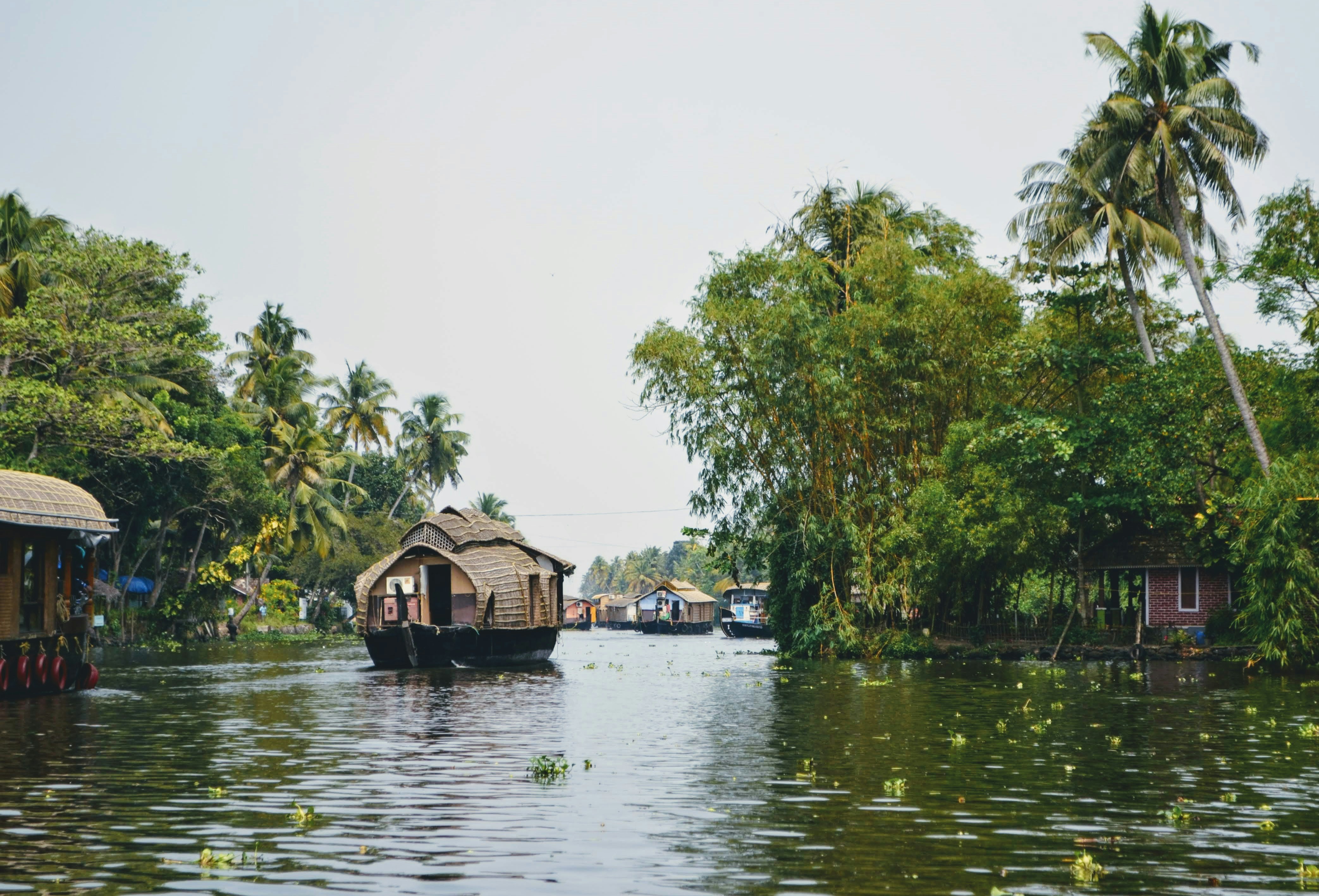 The Tea & Tide Trail: Munnar, Cochin & Alleppey.