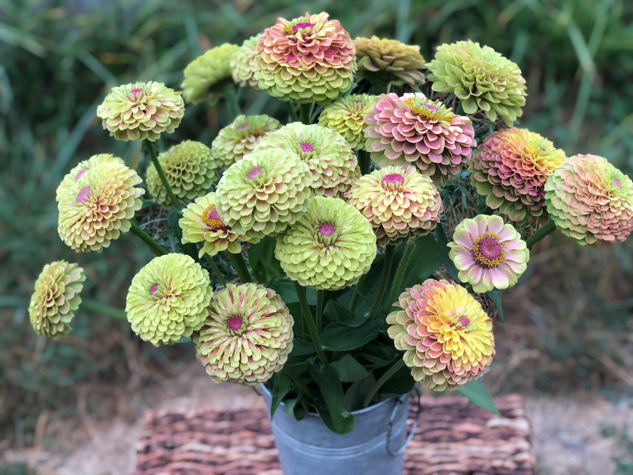 Queeny Lime with Blush Bouquet