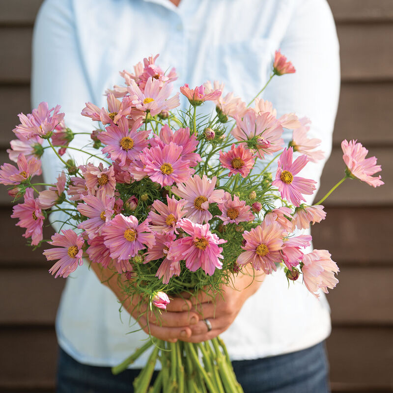 Apricotta Bouquet