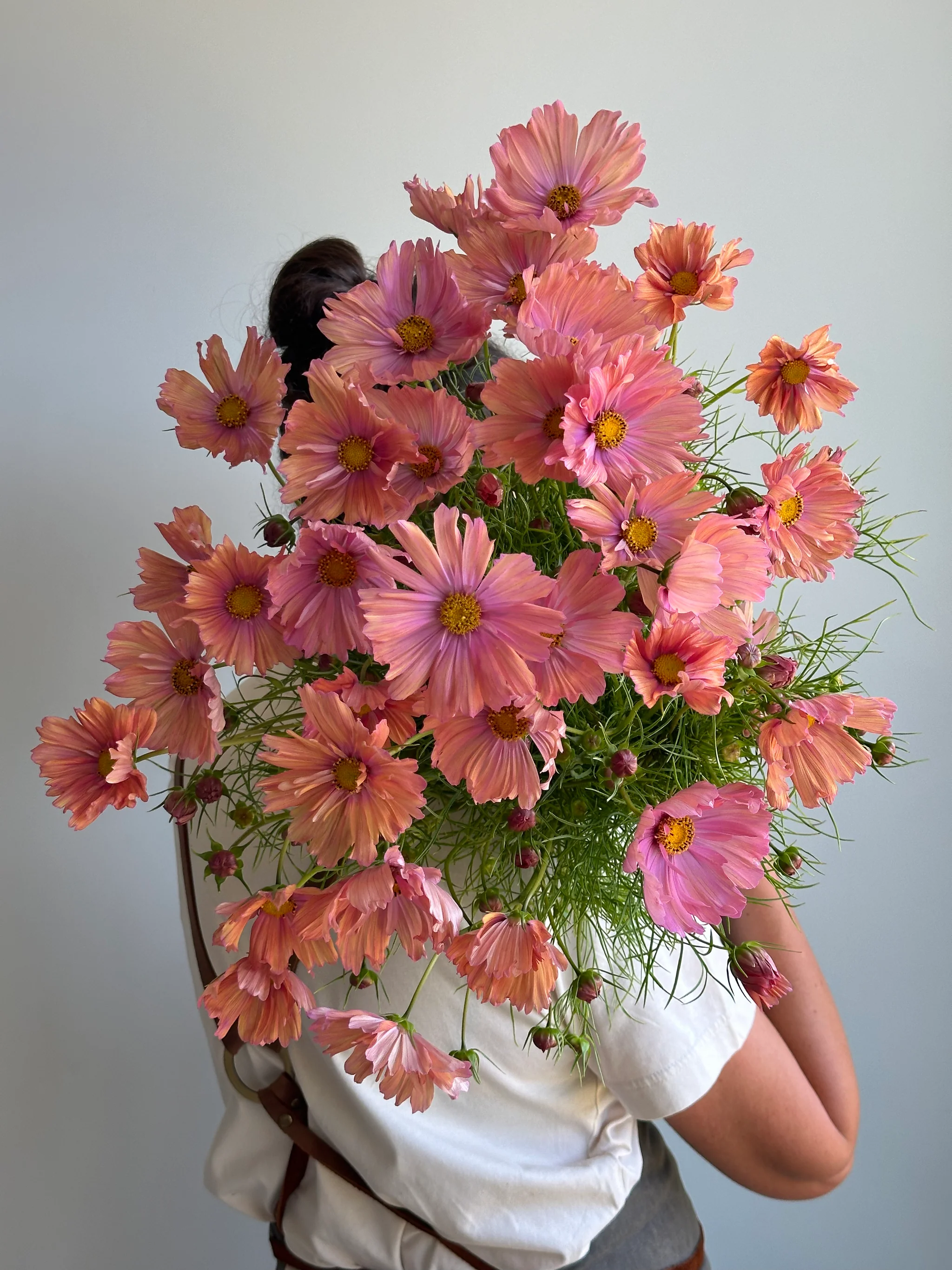 Apricotta Bouquet