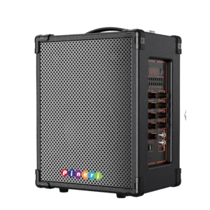Pineri H200 Portable PA System