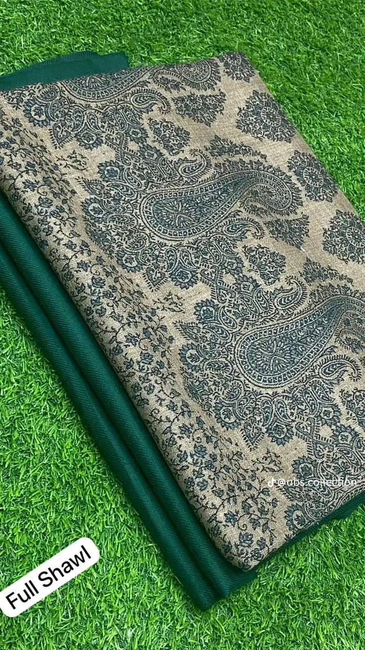 Wool Pashmina 3 pc suit with Shawl 