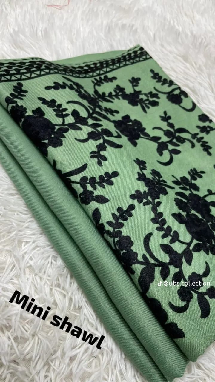 Wool Pashmina 3 pc suit with Shawl