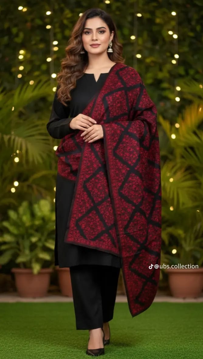 Wool Pashmina 3 pc suit with Shawl