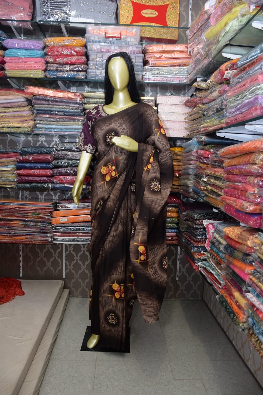 Beautiful Brown Sari