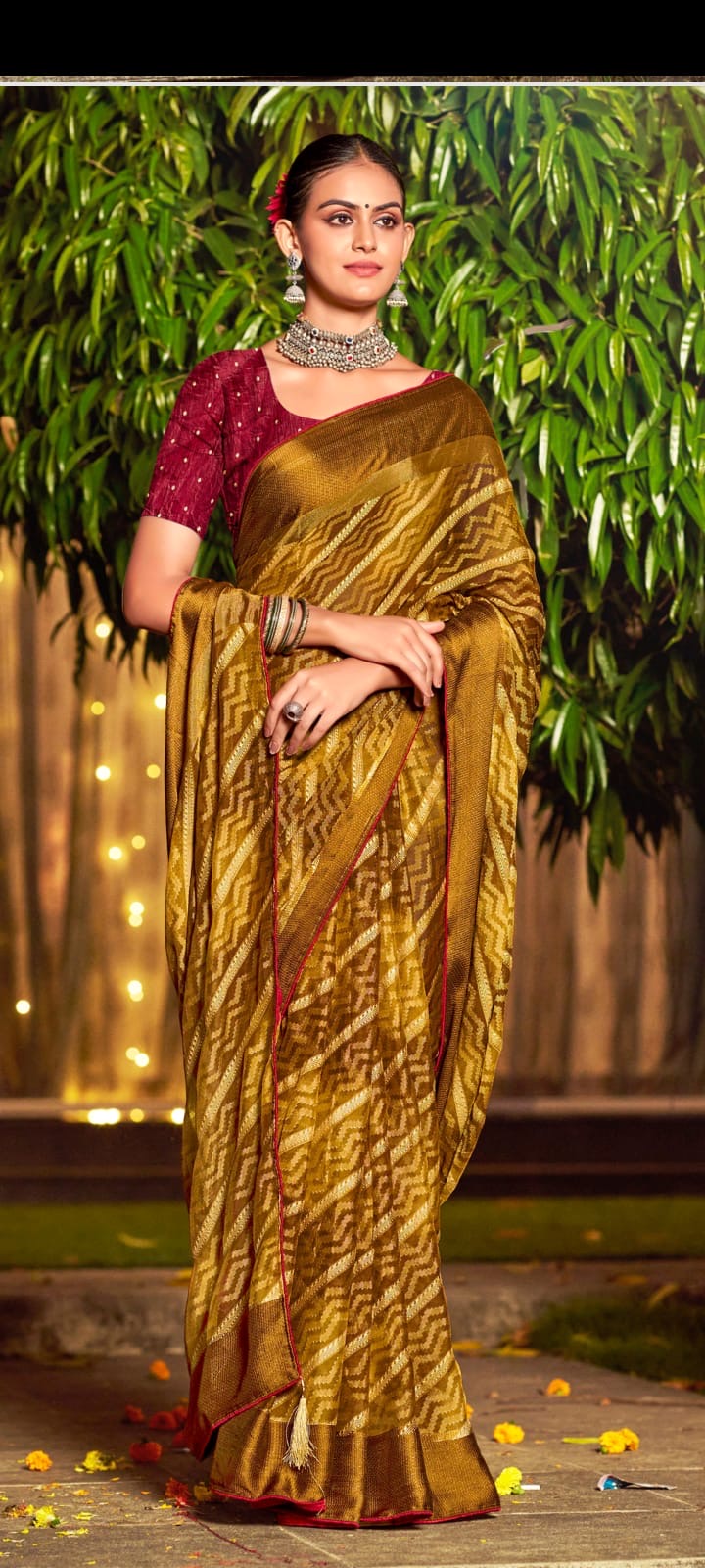 Traditional Saree