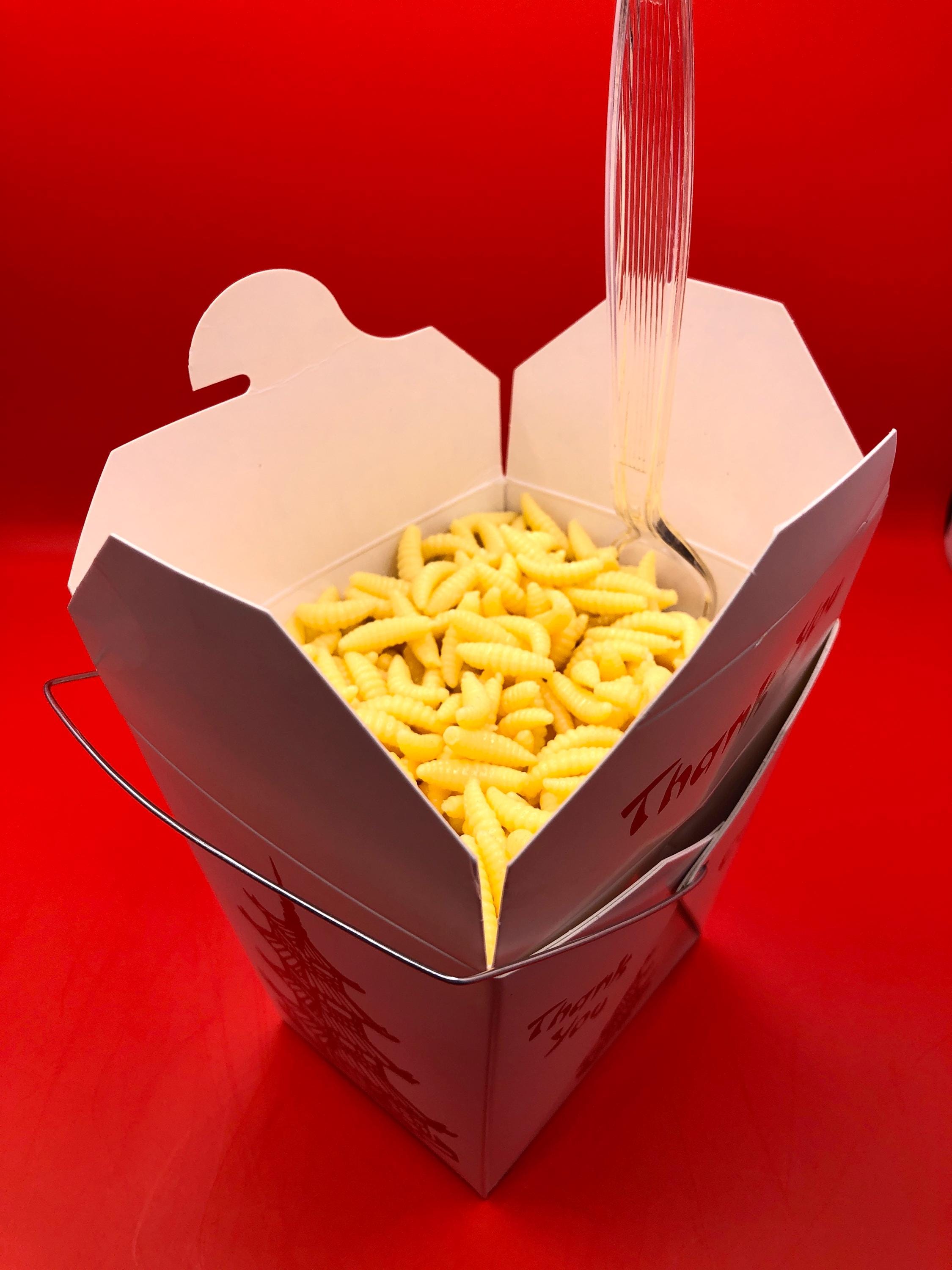 Lost Boys inspired Chinese Takeout containers / With maggots / Prop