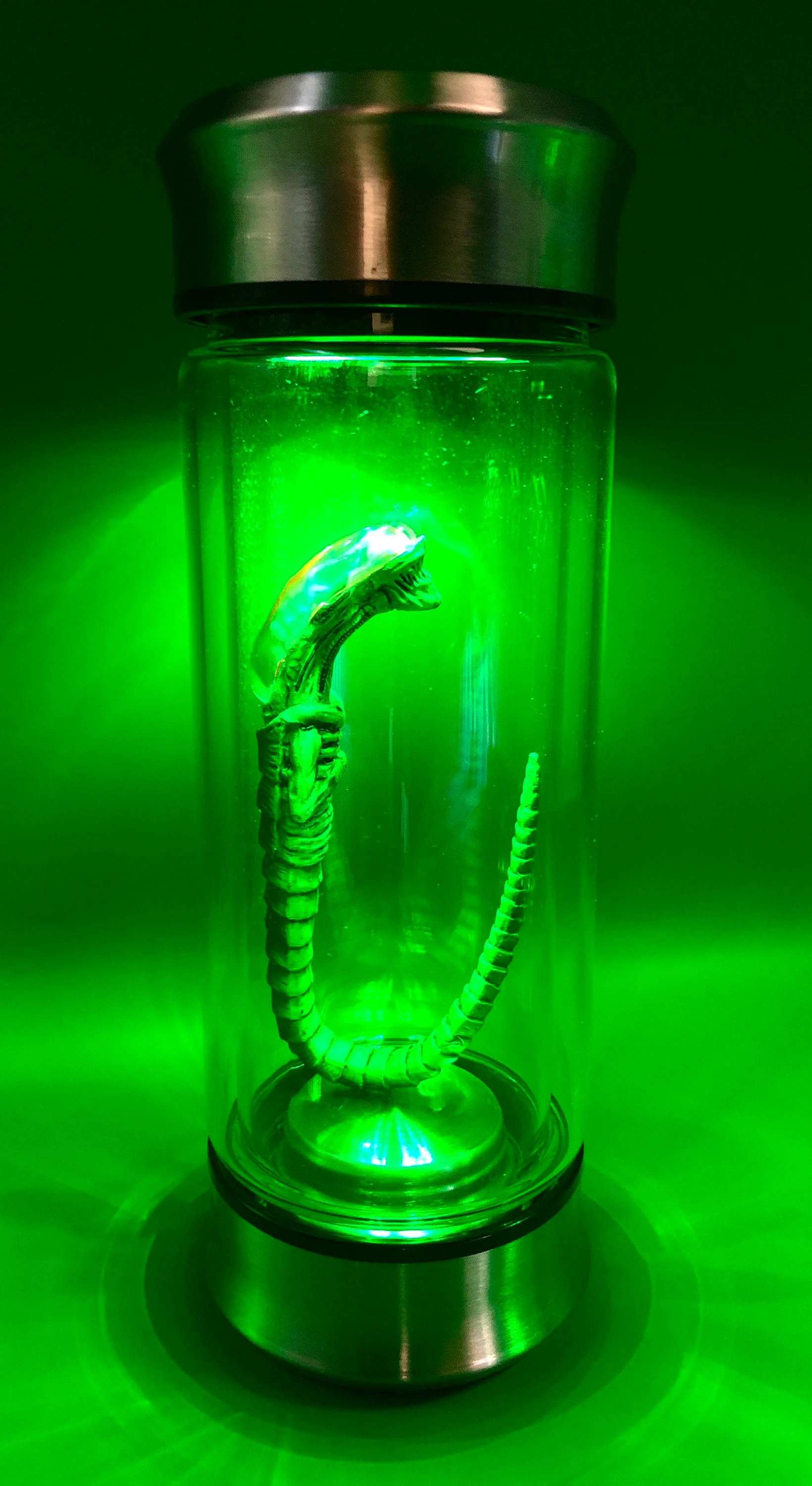 Alien Xenomorph specimen in a jar