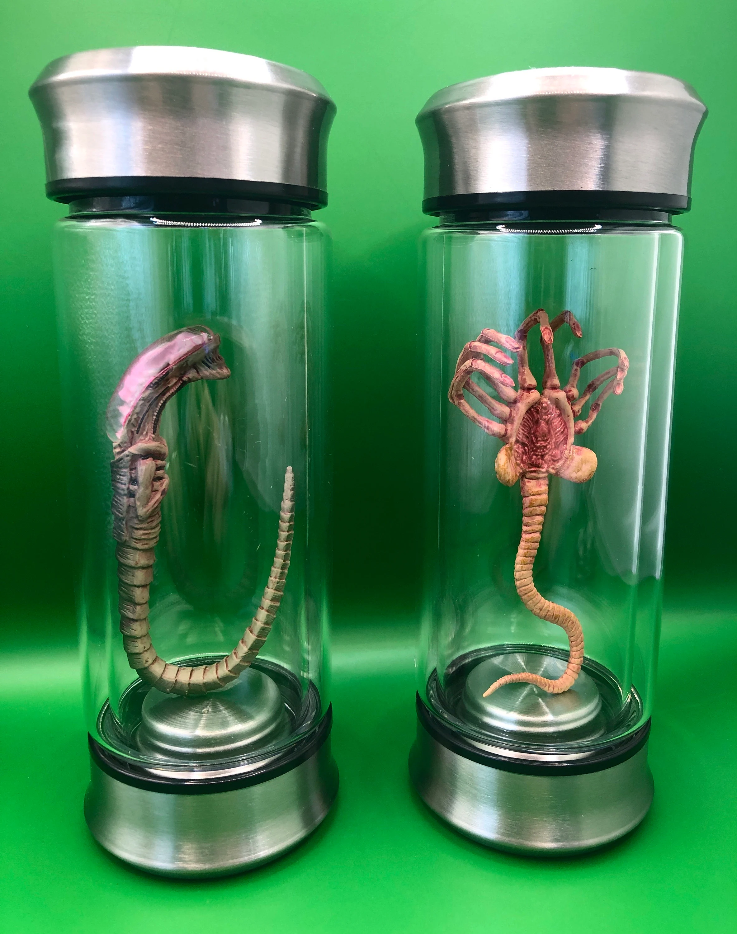 Alien Xenomorph specimen in a jar