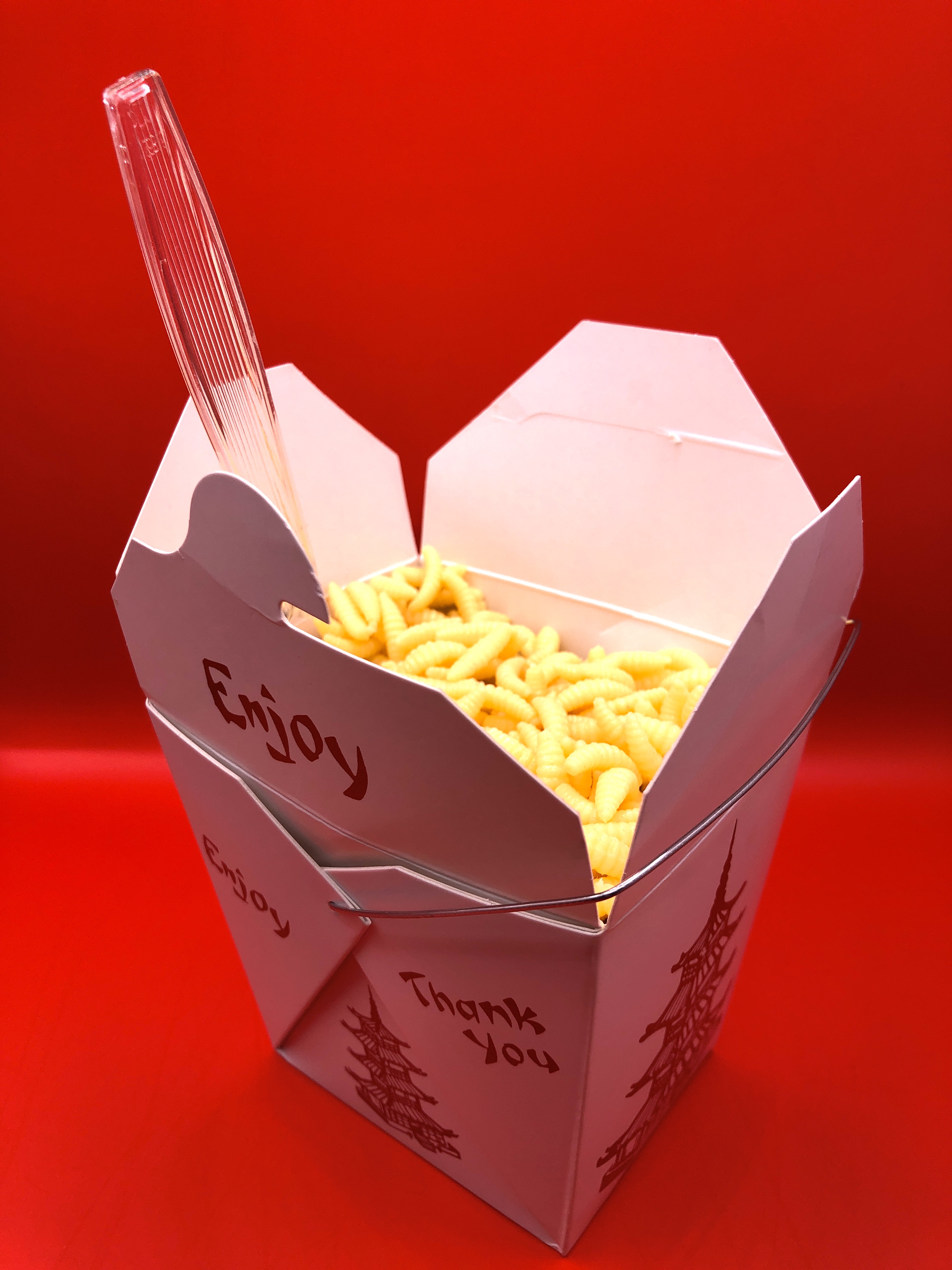 Lost Boys inspired Chinese Takeout containers / With maggots / Prop