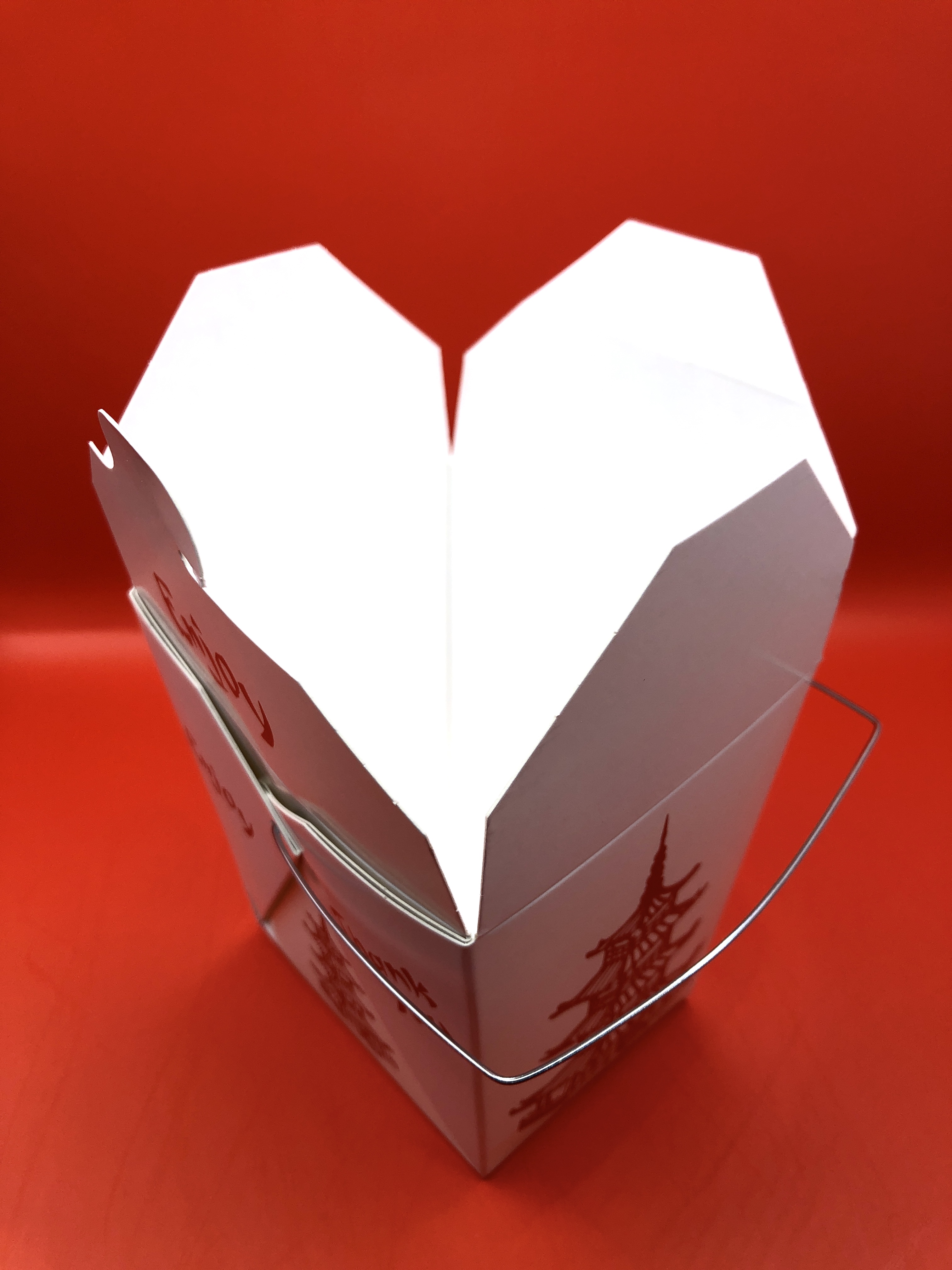 Lost Boys inspired Chinese Takeout containers / With maggots / Prop