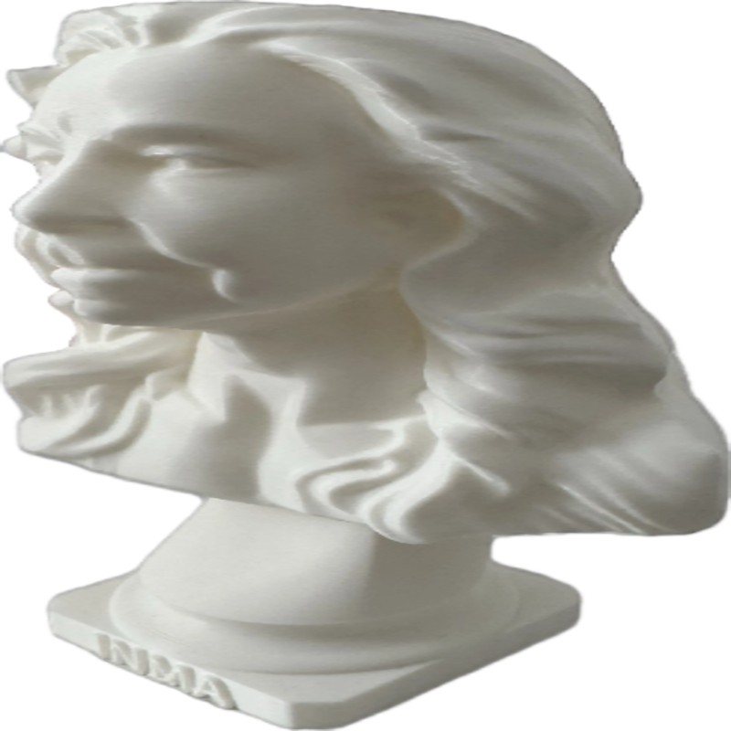 Busto 3D Personalizado