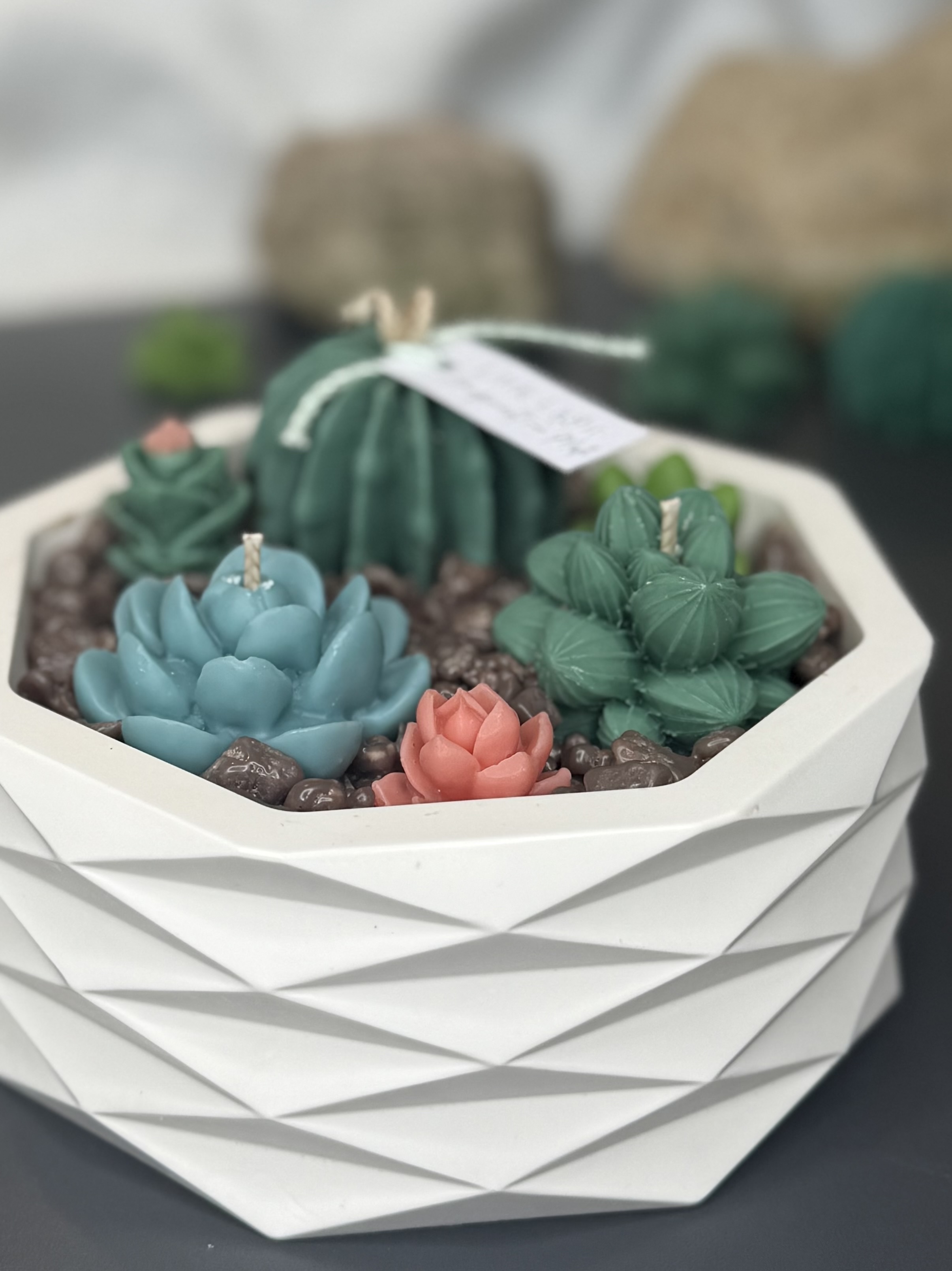 "Botanic Garden" ein Traum für jeden Garten-Liebhaber