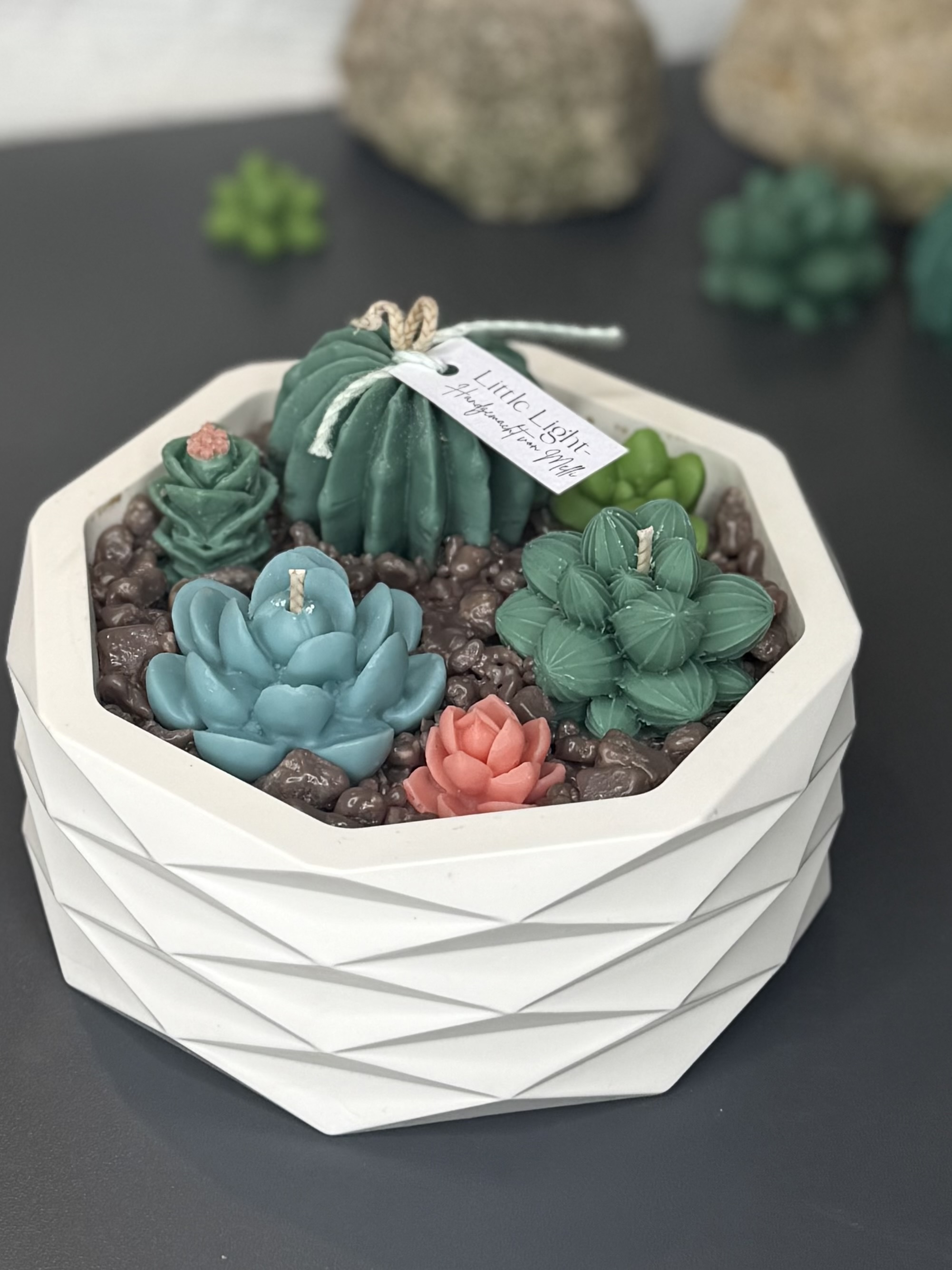 "Botanic Garden" ein Traum für jeden Garten-Liebhaber 