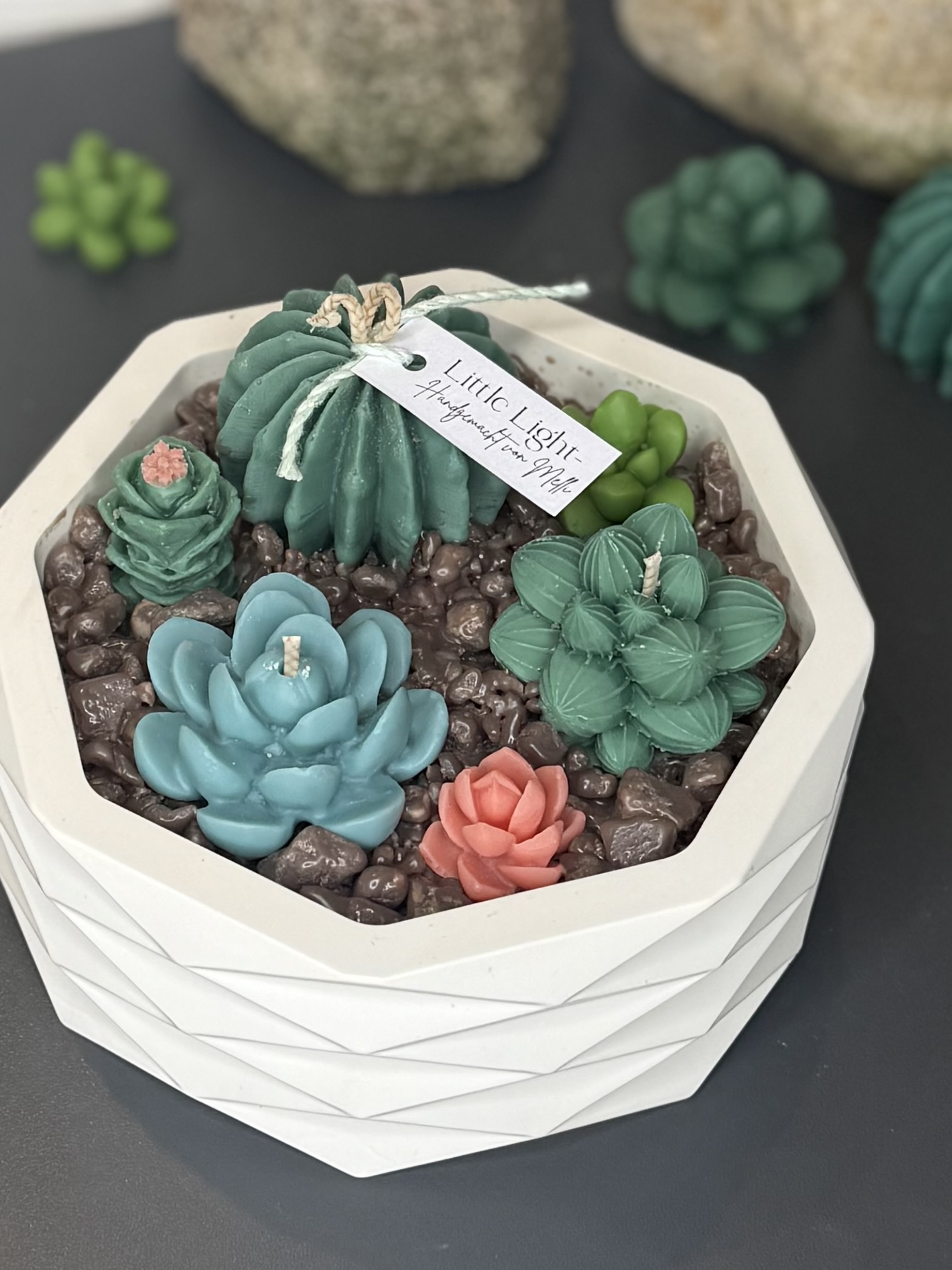 "Botanic Garden" ein Traum für jeden Garten-Liebhaber 