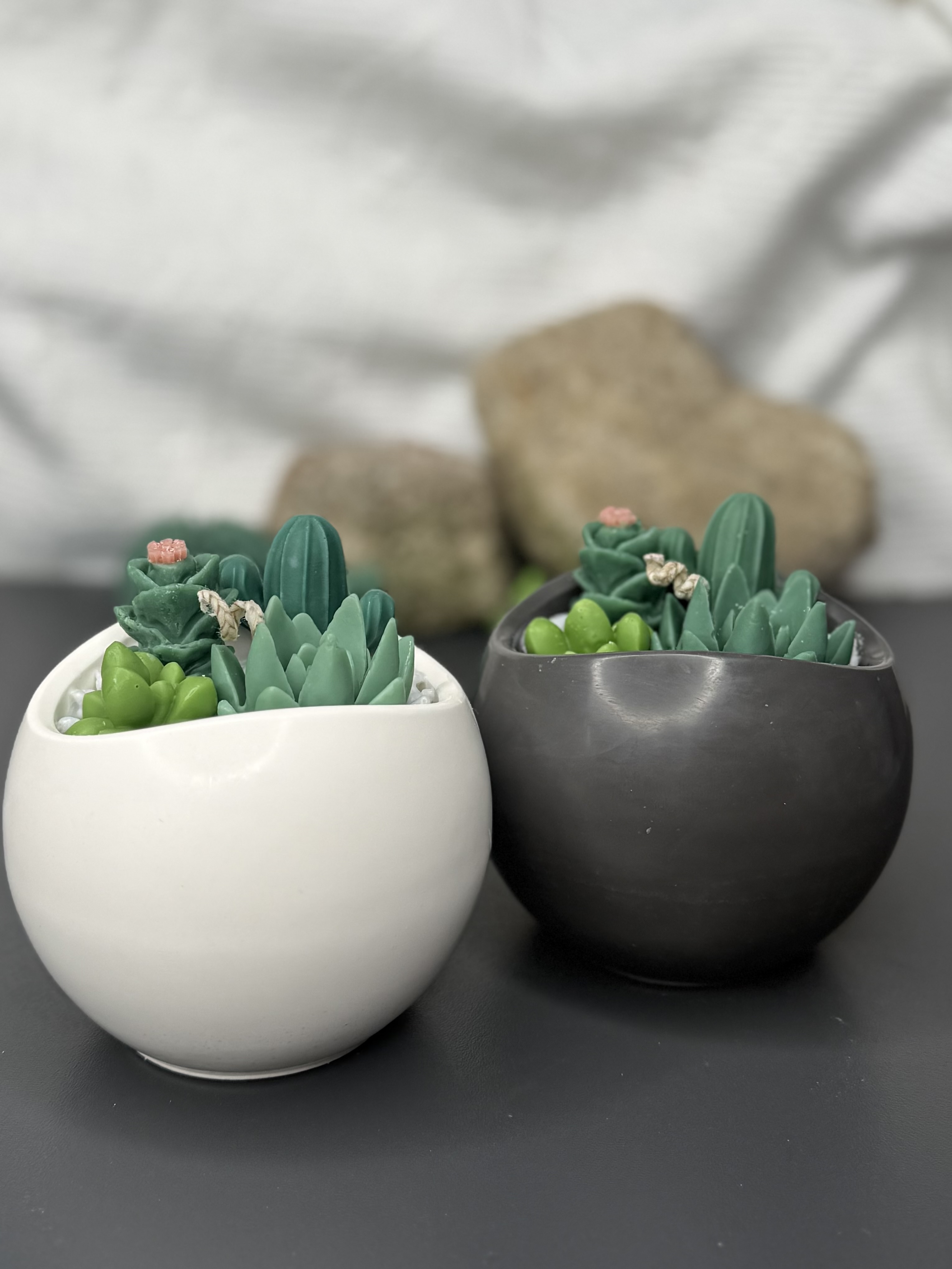 "Botanic Stone" für Kakteen-Liebhaber